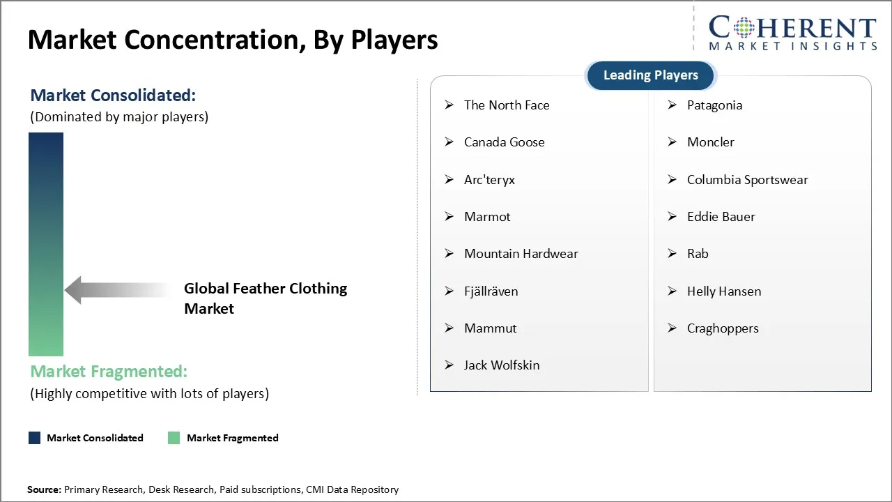 Feather Clothing Market Concentration By Players